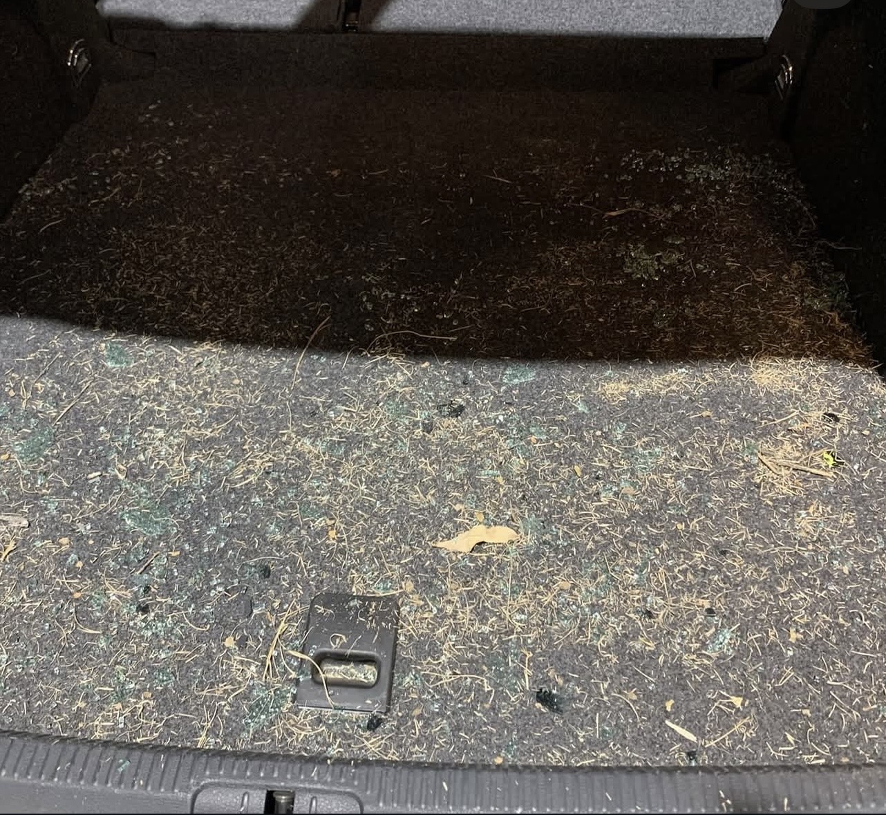 Cargo area before detail